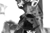 ZW_VB_3_6_25_Altijdachteraf-46-Large