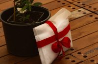 ZW_VB_3_6_25_Altijdachteraf-92-Large